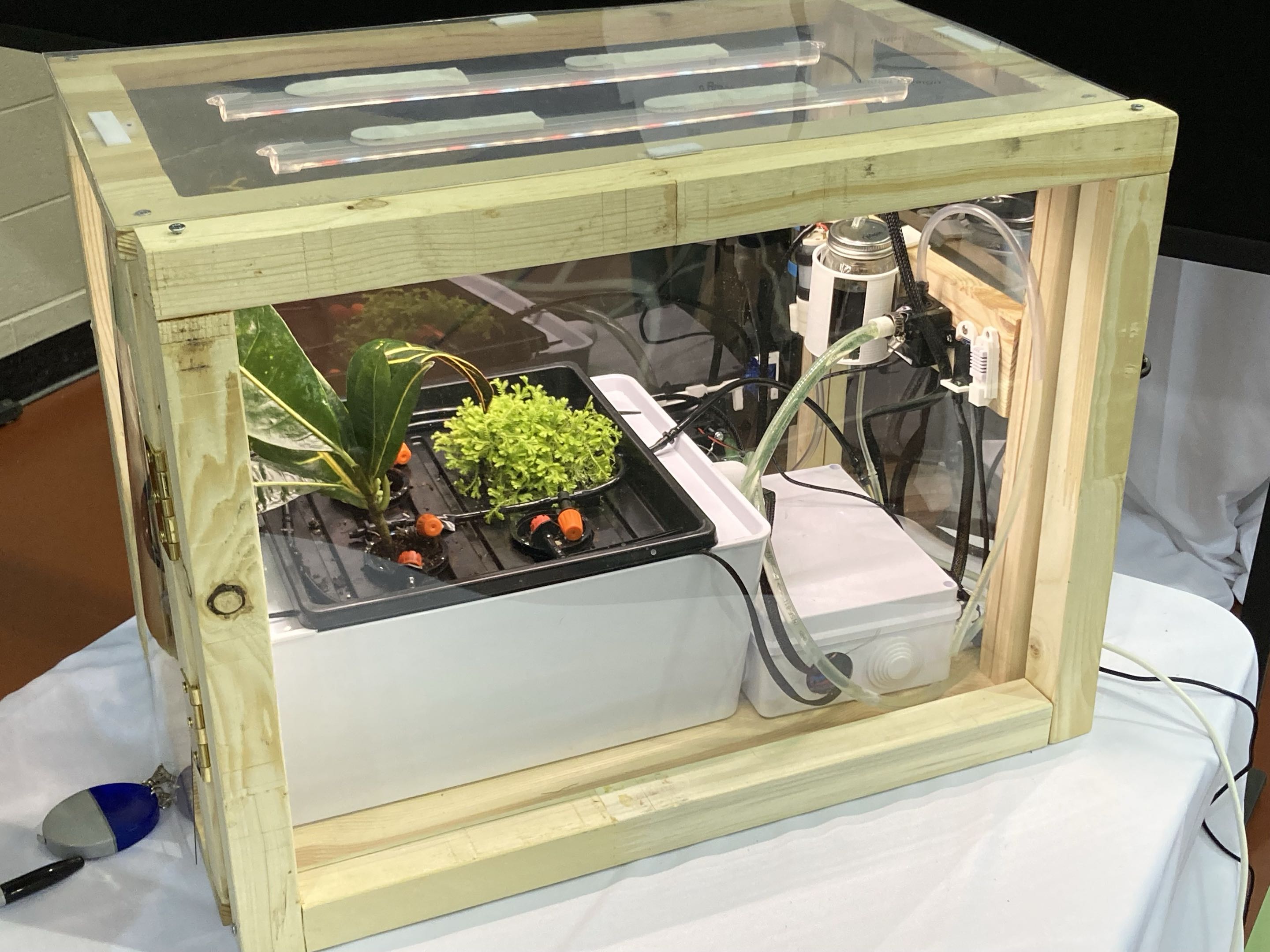 Greenhouse front view showing polycarbonate panels, wood frame, and hydroponic tray